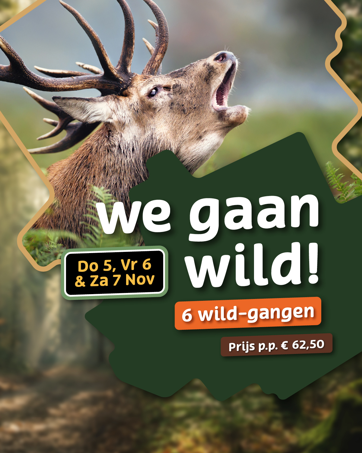 Wildavond bij Stadscafé Oudewater: we gaan wild! 6 wild-gangen op 5, 6 en 7 november